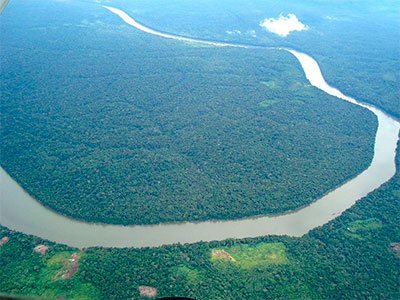 Viesca del Amazonas