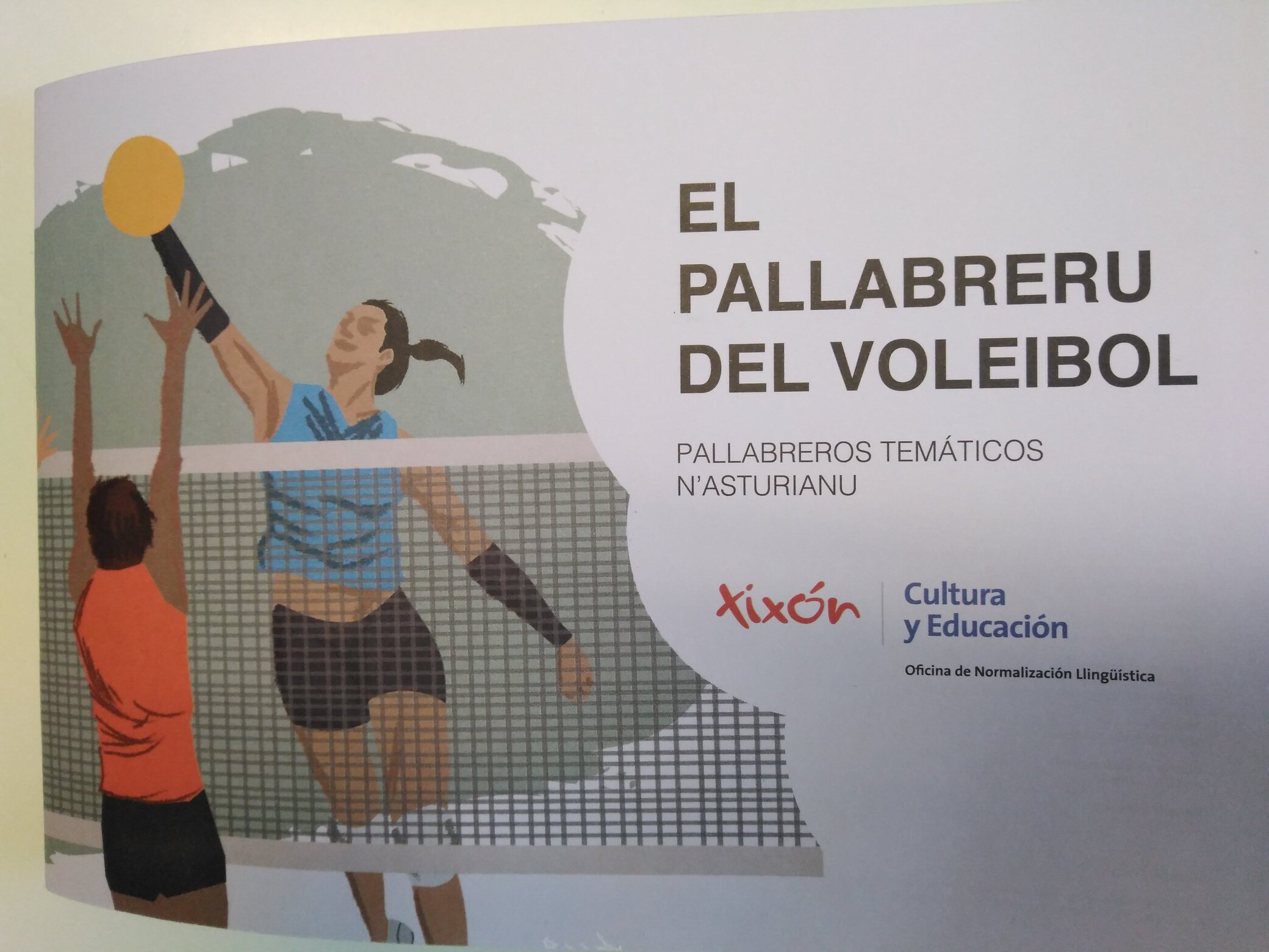 'El Pallabreru del Voleibol'