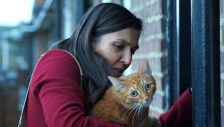 RADAR: 'Cat in the Wall'