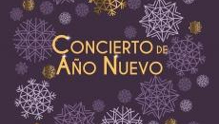 Conciertu d'añu nuevu
