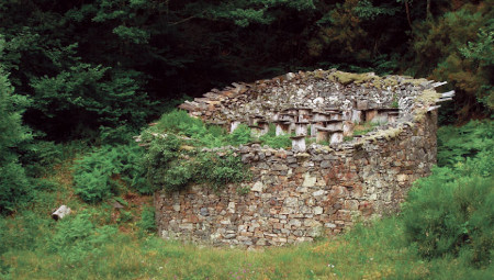 ‘Cortinos. Colmenares tradicionales del occidente de Asturias’