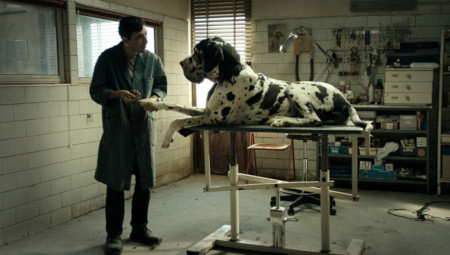 Dogman