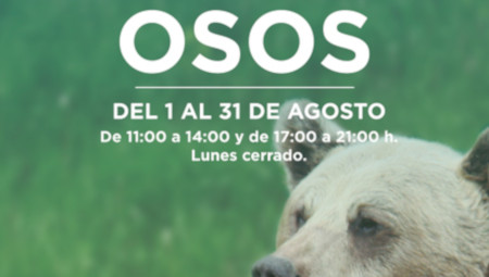 Osos