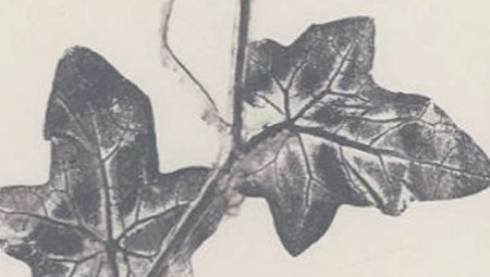 Flora romana