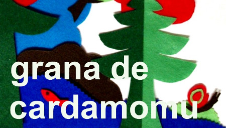 Grana de cardamomu