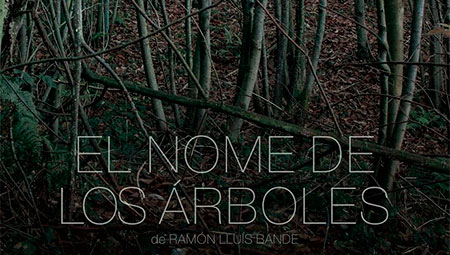 El nome de los árboles
