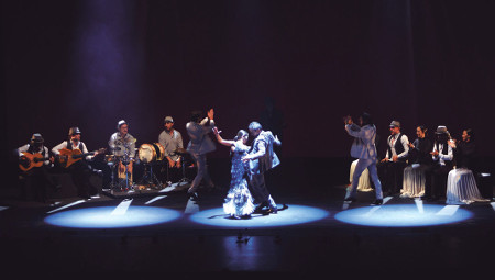 Sara Baras, 'Sombras'