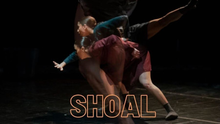 'Shoal', de Dana Raz Dance Projects