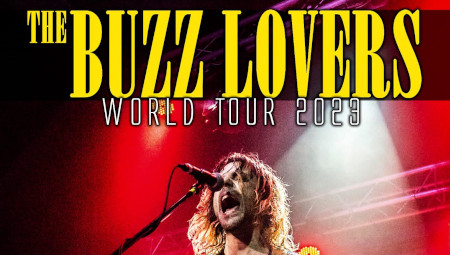 The Buzz Lovers