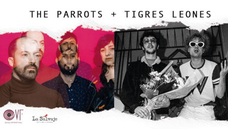 The Parrots + Tigres Leones
