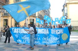 LObservatoriu de Política Llingüística denuncia faltes nes polítiques de promoción del asturianu