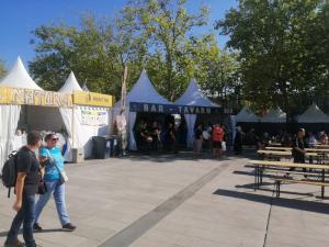 Chigre d'Asturies nel LI Festival Interceltique de Lorient