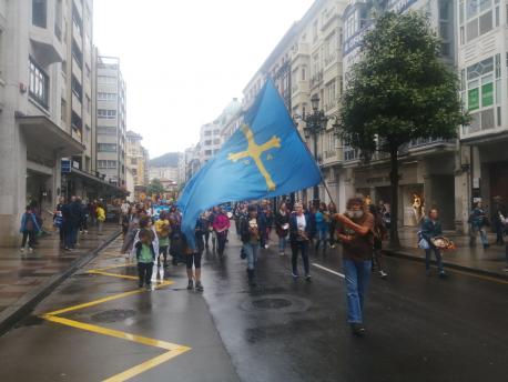 Manifestación XLIV Día Lletres Asturianes.jpg