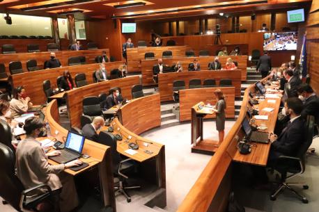 Ana Cárcaba Plenu enmienda totalidá Presupuestos 2022