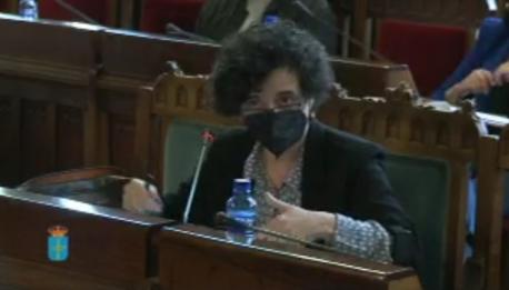 Berta Piñán Comisión Cultura toponimia