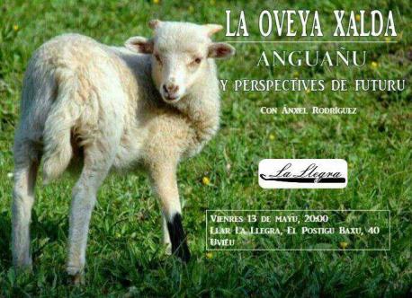 La oveya xalda protagoniza una charra en La Llegra