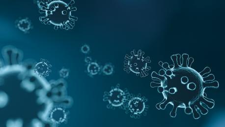 Coronavirus SARS-CoV-2