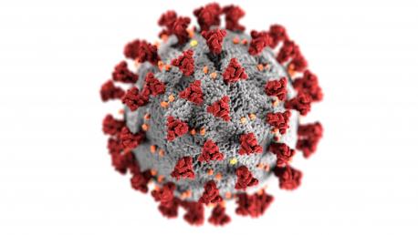 Coronavirus SARS-CoV-2 fondu blancu