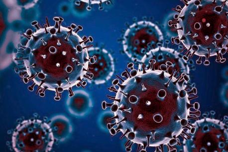 Salú confirma 44 nuevos casos de coronavirus