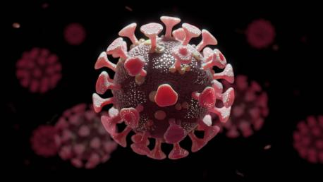 Coronavirus SARS-CoV-2 rosa y gris