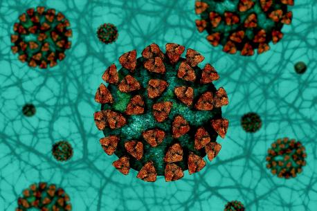 Coronavirus SARS-CoV-2 verde-naranxa