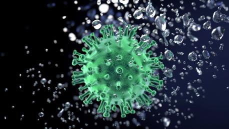 Coronavirus SARS-CoV-2 verde y azul
