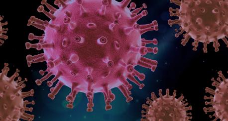 Salú confirma 24 nuevos casos positivos por coronavirus