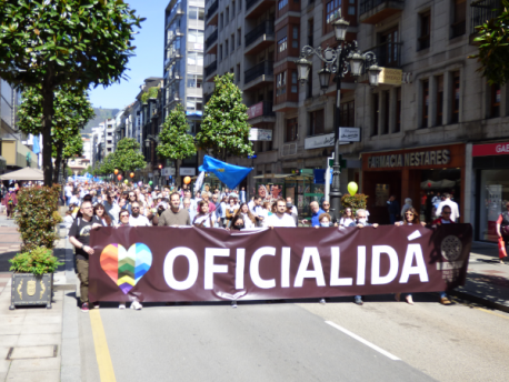 Manifestación XDLA XLIII Día de les Lletres Asturianes pancarta