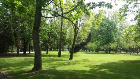 CaleyAvilés visita'l Parque Ferrera n'asturianu