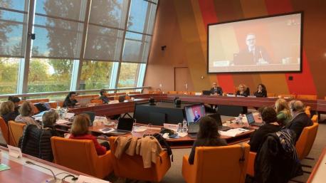 Plenu del Comité d'Espertos de la Carta Europea de les Llingües Rexonales y Minoritaries