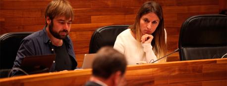 Podemos considera curtia l’aición de la conseyería pa correxir el tratamientu acientíficu del idioma en llibros de testu