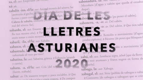 Iniciativa pol Asturianu axunta a los partíos nel Día de les Lletres con una llectura de poemes