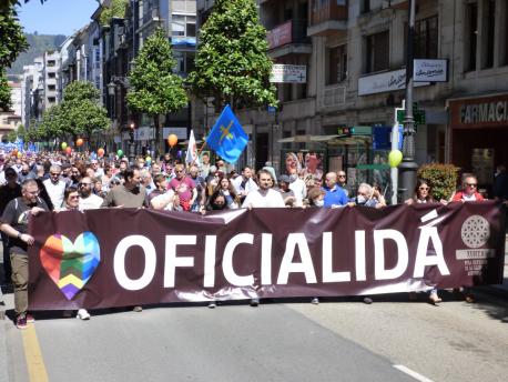 XDLA na manifestación pol XLIII Día de les Lletres Asturianes