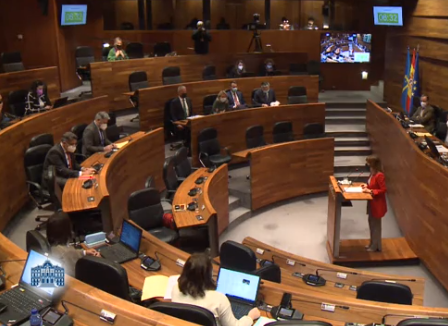 Ana Cárcaba na Xunta Xeneral