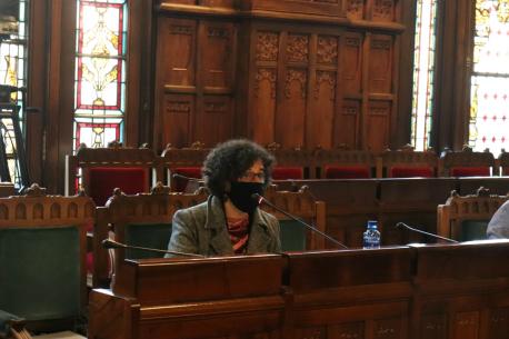 Berta Piñán comparecencia presupuestos