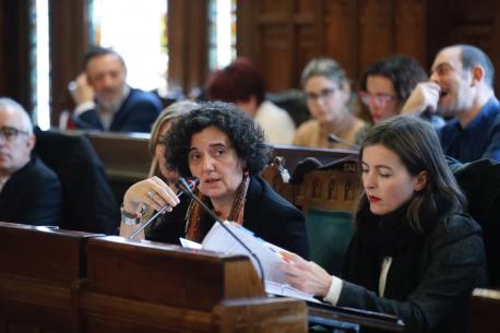 Berta Piñán comparecencia Presupuestos 2020