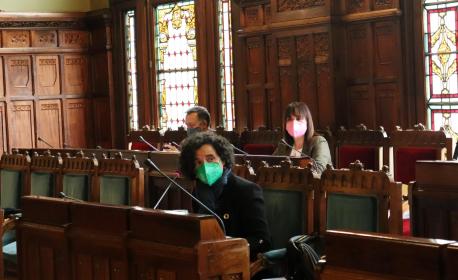 Berta Piñán na Comisión de Cultura, Política Llingüística y Turismu