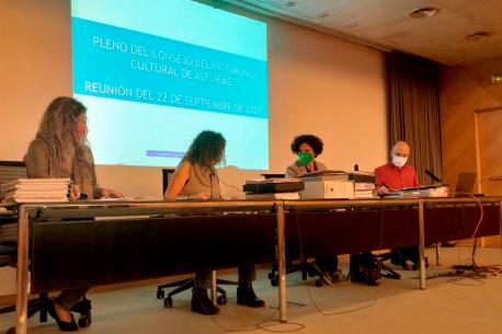 Berta Piñán nel Plenu del Conseyu del Patrimoniu Cultural 