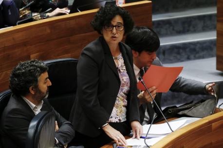 Berta Piñán Plenu Xunta Xeneral