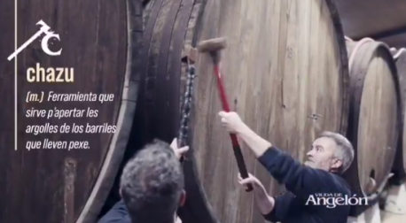 Chazu 'Diccionariu sonoru de la nuesa sidra' de Viuda de Angelón