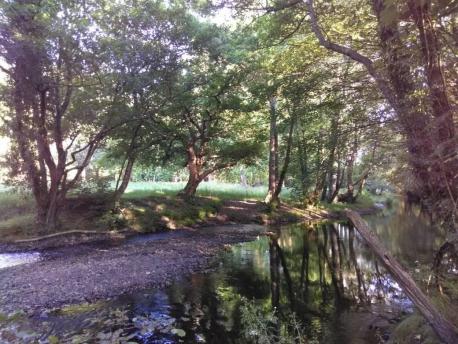 El Río Porcía al so pasu pel Campo del Alameda