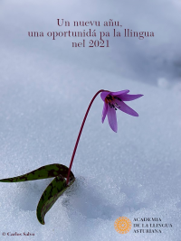 Felicitación Navidá 2020-2021 ALLA