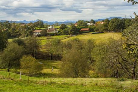 Fozalguera dende Granda (Pruvia)