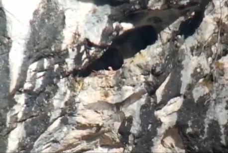 Frangüesu nacíu en Picos