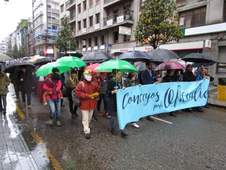Ochenta cargos de 30 ayuntamientos participaron na iniciativa ‘Conceyos pola oficialidá’