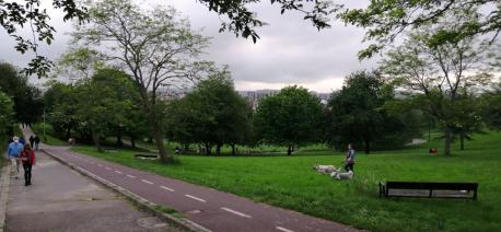 Los Pericones reducida