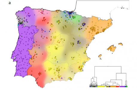 Un estudiu amuesa una coincidencia xenética na Península marcada pola espansión de los reinos medievales