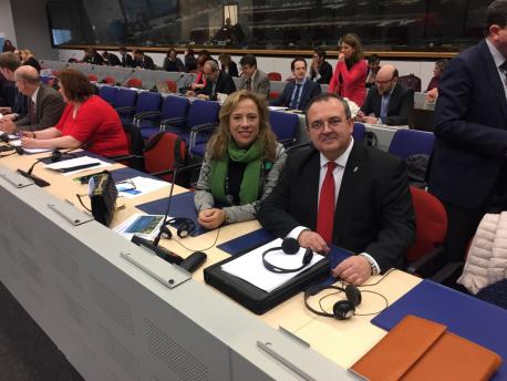 Asturies va poder afitar el so propiu calendariu de transición enerxética
