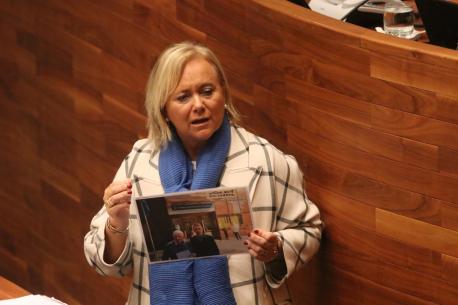 El PP insiste na Xunta Xeneral con una propuesta de resolución pa “rechazar la cooficialidad del bable”