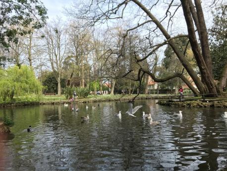 CaleyAvilés arranca la so cuarta edición con una salida al parque Ferrera